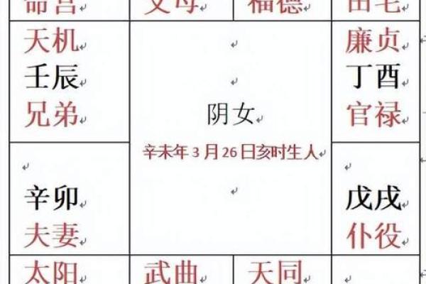 紫微斗数排盘图解：轻松掌握命运密码，破解人生运势