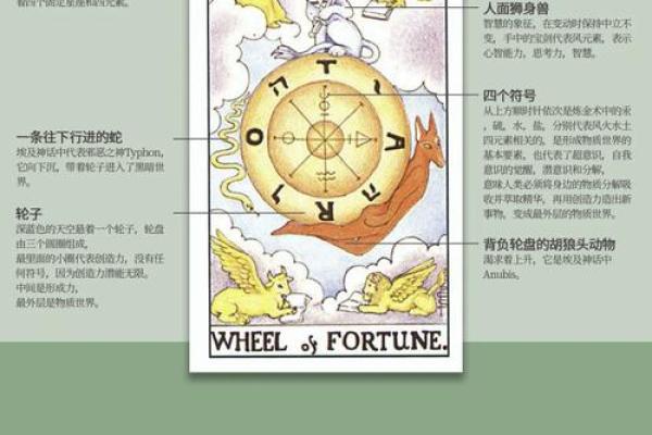 命主出生时间，揭秘命运的秘密钥匙