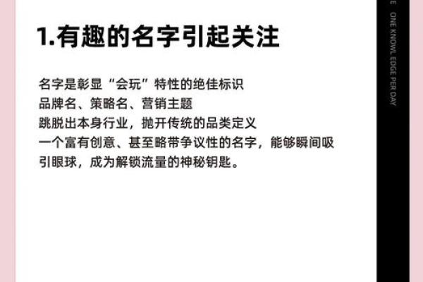 飞起名，让你的品牌从名字开始脱颖而出