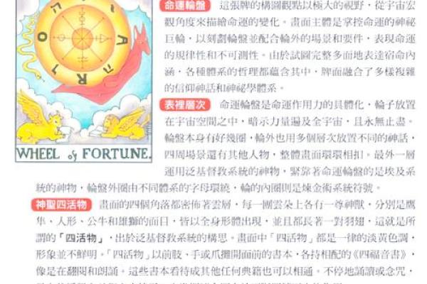 十十之命：揭秘命运的十个转折点，你的人生将大不同