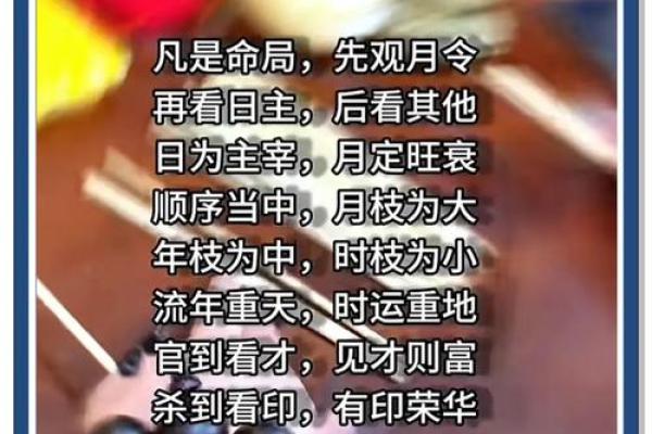 八字排细盘：揭开命运奥秘的全新视角