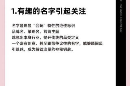 飞起名，让你的品牌从名字开始脱颖而出