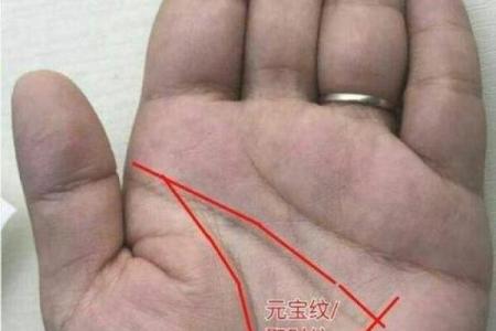 手相命运线不直，揭秘你的运势起伏