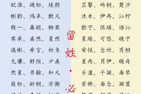 起名网王助你选择最符合五行八字的名字