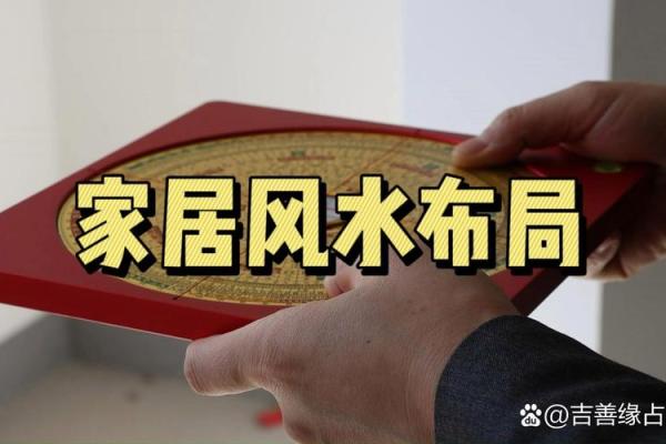 土命之家，摆什么才能旺气满满？