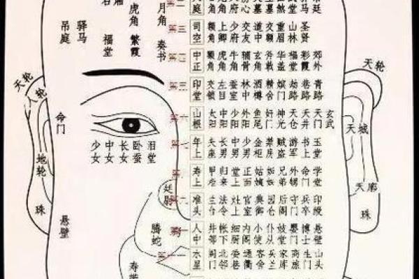 痣相差异大揭秘：男女之间痣相有何特点？