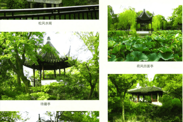 从传统到创新，亭子命名技巧全解析