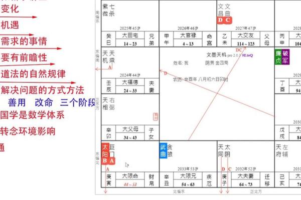 深度解析斗数四化排盘，让你洞察人生每个转折点