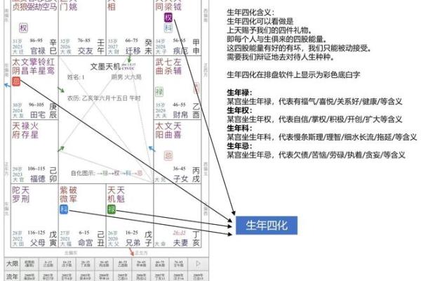 深度解析斗数四化排盘，让你洞察人生每个转折点