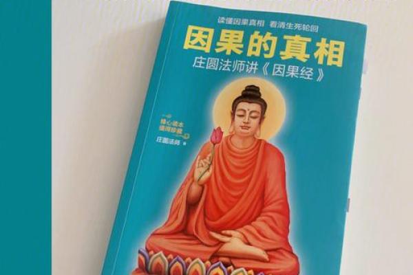 破解精神疾病之谜：风水布局，揭秘心灵与环境的神秘联系