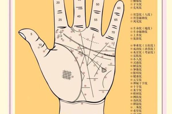 独家揭秘：左掌痣相背后的秘密，你了解多少？