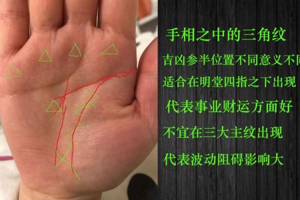 揭秘手相学的真伪：揭秘面相手相的神秘面纱