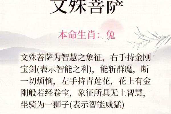 放心生肖：揭秘12生肖中的安心守护神