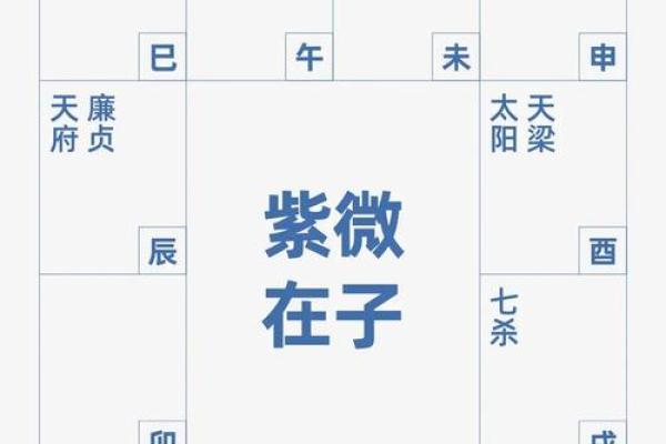 揭开紫微排盘太阳真时的神秘面纱，探索命运变化的关键