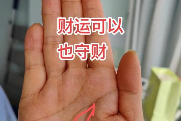 紫薇命盘揭秘：哪个颜色代表你的主星，财运亨通的秘密就在这里