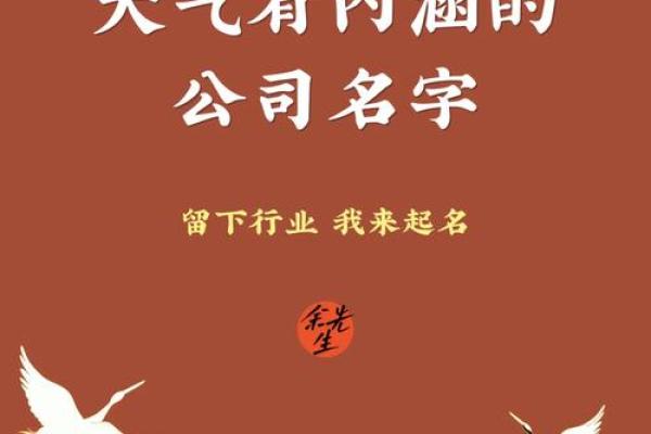 面膜公司起名必看 个创意名字让你的品牌脱颖而出