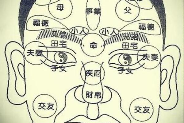 识人术：一眼看穿面相，揭秘你的运势与性格