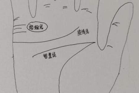 揭秘手相中的婚姻线：你的爱情运势一览无余