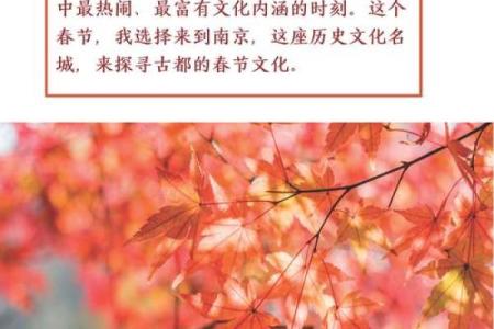揭秘全球最神秘节日：古老传统与现代狂欢的碰撞