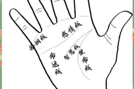 揭秘：手相中的神秘寿命线，竟藏在哪一根手指？