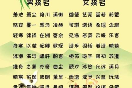 贾姓男孩女孩名字推荐，独具特色又有寓意
