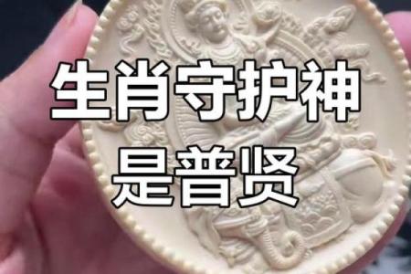 放心生肖：揭秘12生肖中的安心守护神