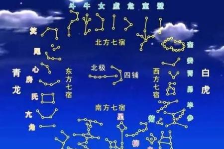 揭开紫微排盘太阳真时的神秘面纱，探索命运变化的关键