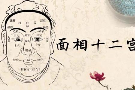 识人术：一眼看穿面相，揭秘你的运势与性格