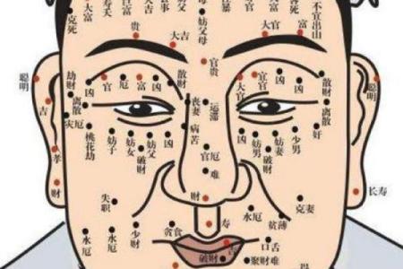 眉眼如画，运势亨通——揭秘面相中的眉眼奥秘