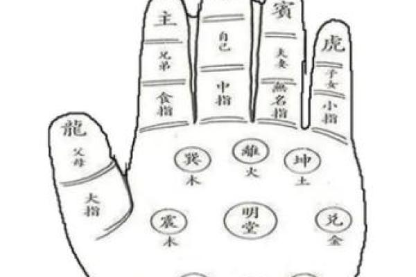 揭秘命运之手：手相解读，你的未来一掌掌握