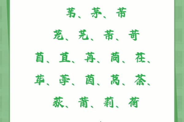 草字五行解析：你绝对不知道的隐藏含义