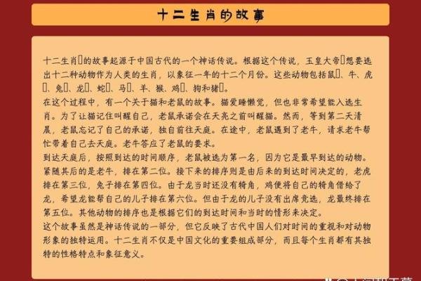 生肖奇缘：十二生肖大揭秘