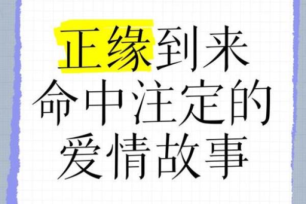 命中注定，爱情轮回