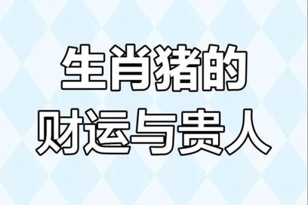 猪你有财，牛气冲天——2023年生肖运势大揭秘