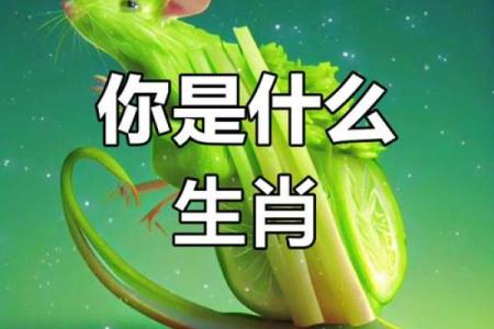 生肖奇缘：十二生肖大揭秘