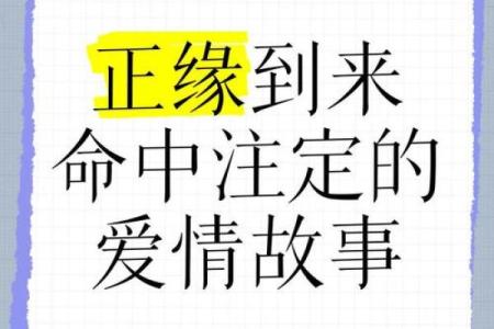 命中注定，爱情轮回