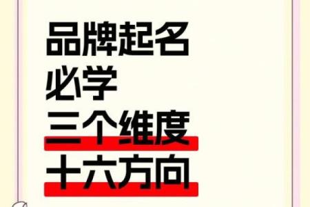 如何为个人起名公司打造一个独特品牌