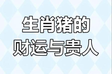 猪你有财，牛气冲天——2023年生肖运势大揭秘