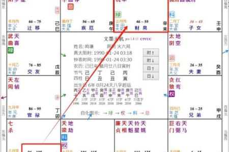 龙凤胎命盘如何影响人生？紫微斗数深度解析