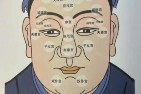 揭秘面相福沟：掌握运势的黄金密码