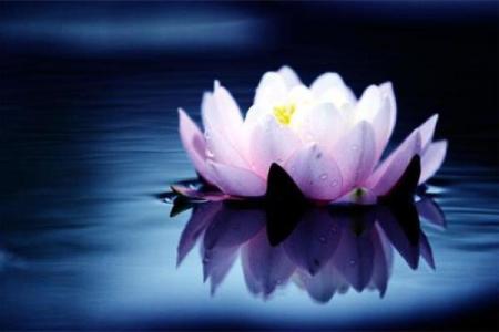 一叶知秋派排盘揭秘：如何用命理预测未来走向