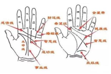 揭秘右手掌线，手相中的财富密码