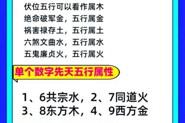 张的五行属性揭秘