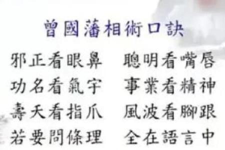 面相揭秘：一眼看穿父母性格命运，精准预测人生运势