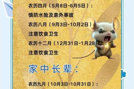 鼠年转运指南：与哪个生肖搭配最旺运？