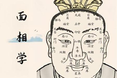 面相识人术：一眼看穿命运秘密
