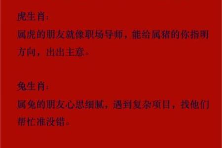 小贵的命，贵如金？揭秘命运与金钱的神秘关系