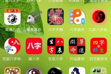 瓷都排盘网：专业排盘助你精准收藏瓷器，错过就遗憾