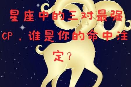 牛牛配对：天生一对的默契佳缘