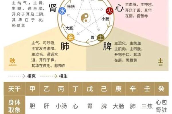 为什么苏五行与命运息息相关？深入解析